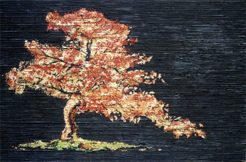 bonzai