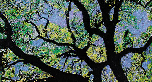 tree